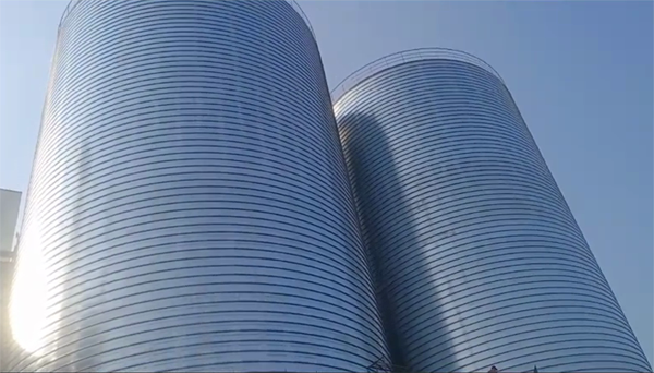 蔚县2座混凝土高架卷板仓